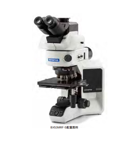 正立式BX53M奥林巴斯金相显微镜